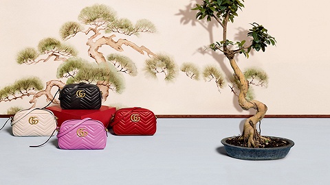 【是日美好事物】Gucci 2017度假系列预览 The North Face的野练装备升级